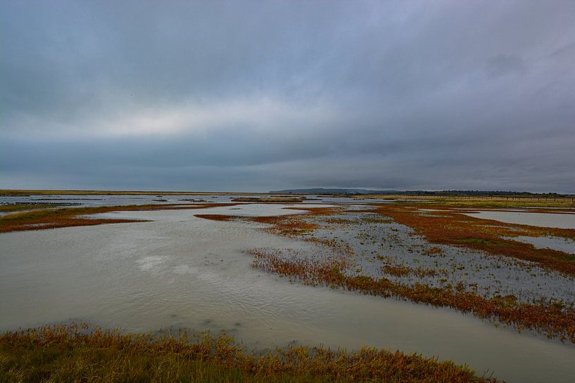 Rye Harbor par Hans Janssen