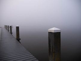 Pole im Nebel von Linda van der Meer