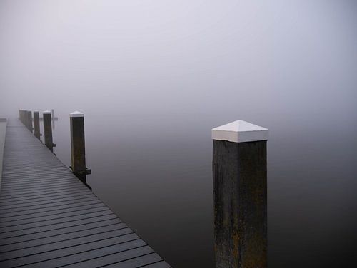 Pole im Nebel