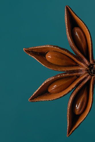 Een halve steranijs (met turquoise / groenblauwe achtergrond)