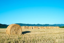 Paysage estival minimaliste représentant un champ avec une seule balle de foin dorée sur Milcho Milev