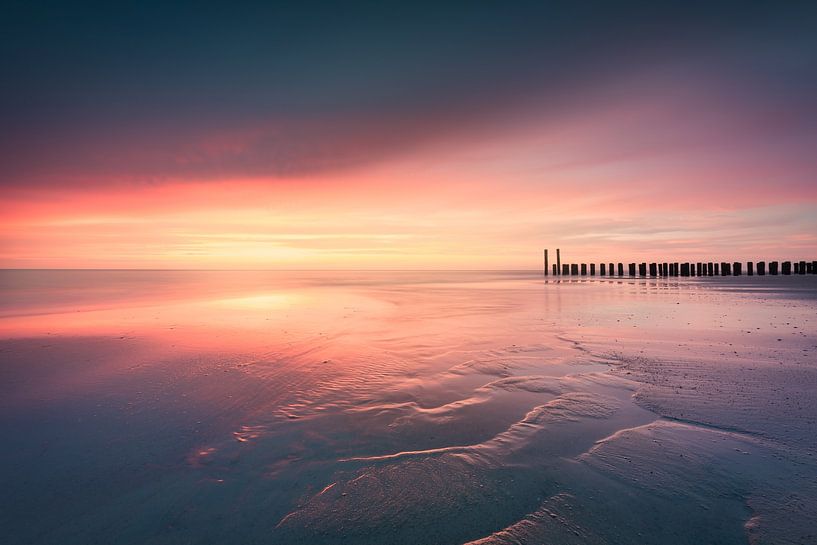 Zoansondergang aan de Nederlandse kust van Original Mostert Photography