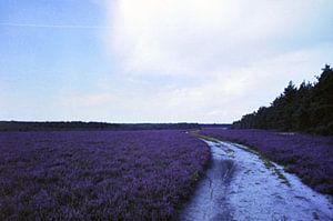 Langer Weg von Joachim Serger