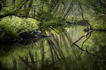 Jenseits des Flusses