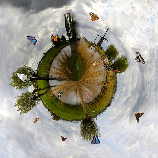 De Langereis met vlinders in mijn kleine planeet by Cora Unk