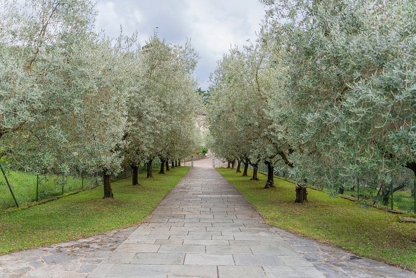 Piona Abbey in Italy by Achim Prill