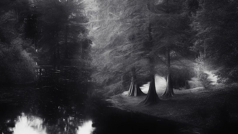Dream forest with swamp cypresses. by Saskia Dingemans Awarded Photographer