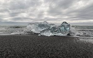 Een bevroren Zeehond op Diamond Beach, Iceland van Hans Kool