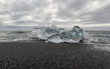 Een bevroren Zeehond op Diamond Beach, Iceland van Hans Kool