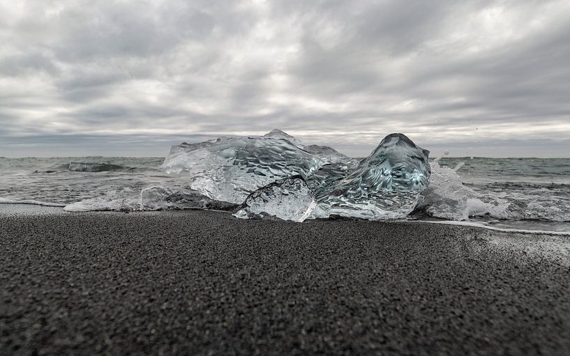 A frozen Seal on Diamond Beach, Iceland by Hans Kool