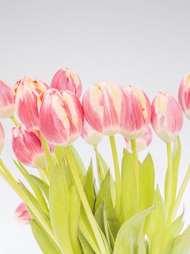 Roze Boeket