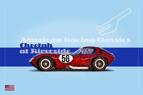 Cheetah in Riverside, USA