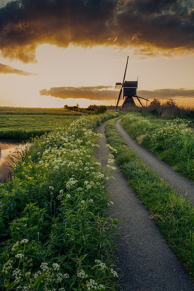 Sonnenaufgang im Polder von Gerard Stasse Fotografie