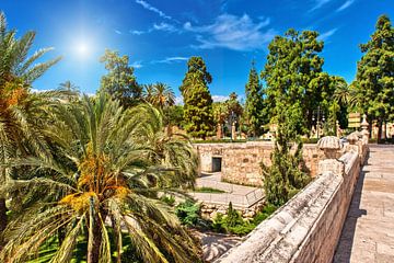 Parc de la Turia sur Dieter Walther