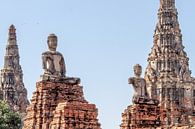 Beelden in Ayutthaya van Levent Weber thumbnail