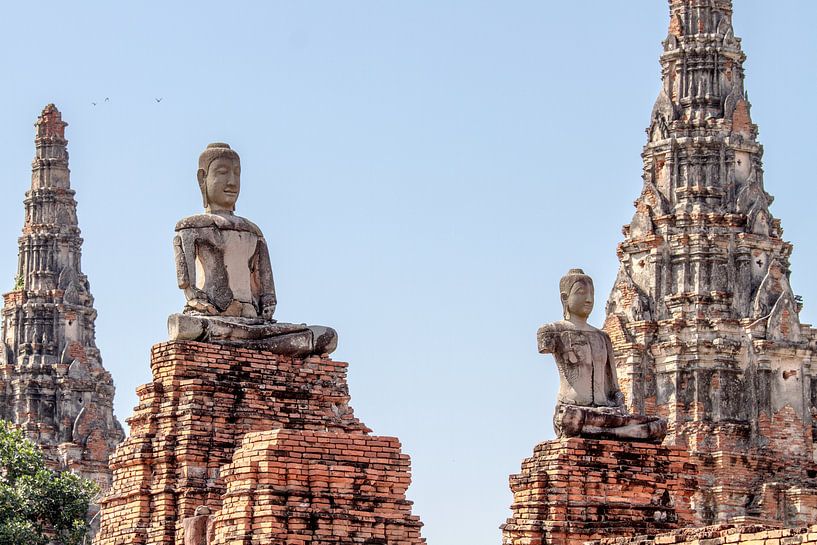 Beelden in Ayutthaya van Levent Weber