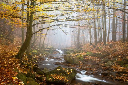 L'automne dans la vallée de l'Ilse