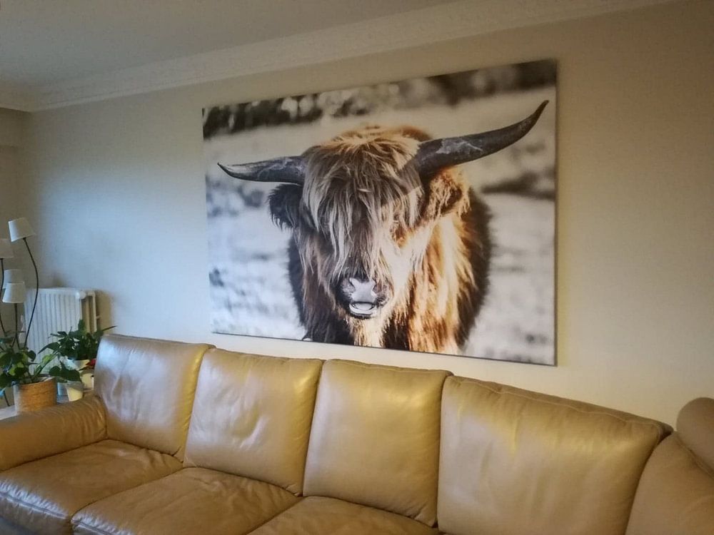 Highlander écossais par Hans Brasz