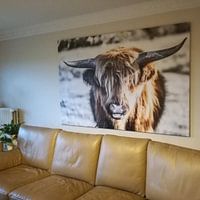 Klantfoto: Schotse hooglander van Hans Brasz, op canvas