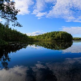 Reflets symétriques dans un paysage suédois sur Photo Henk van Dijk