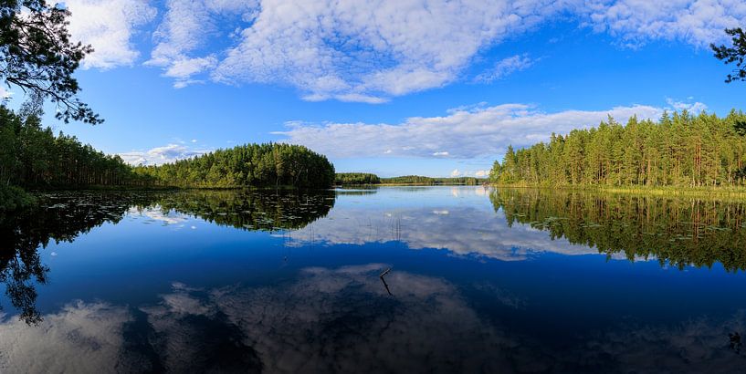 Symmetrische Reflexion in der schwedischen Landschaft von Photo Henk van Dijk