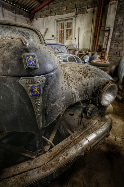 Peugeot 203 by Jan van de Riet