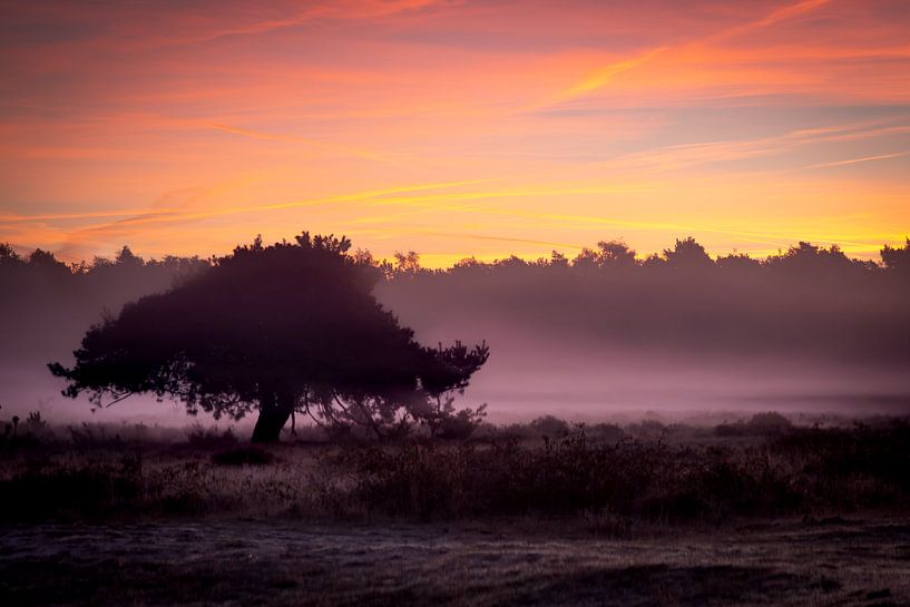 Ochtendgloren op de heide van Caatje Clicks