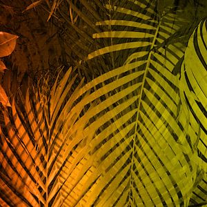 TROPICAL LEAVES GREEN MOCCA no2 van Pia Schneider