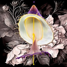 Hochgeschwindigkeitsfotografie von Wassertropfen von Rob Kempers  Nature-Art-Landscape Photography