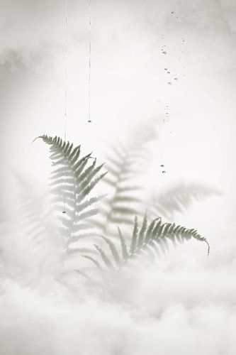 Behind the glass window. 6