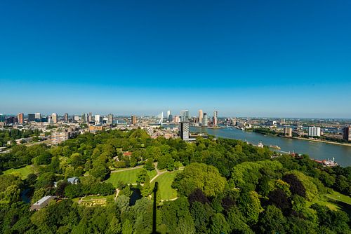 Erasmusbrug Rotterdam vanaf de Euromast.