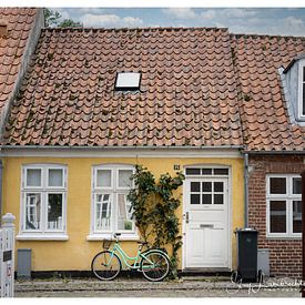 Door & bike by Guy Lambrechts