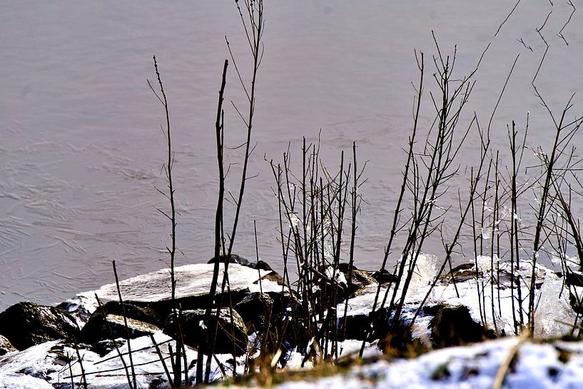crunching ice 2 by joyce kool