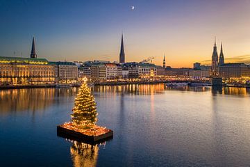 Skyline van Hamburg met kerstversiering van Michael Abid