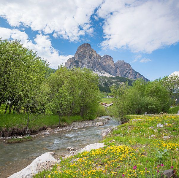 Rivière Gader avec des fleurs, montagne Sassongher. par SusaZoom