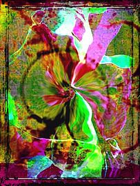 MODERN ART by Barbara Mueller