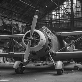 Avion à hélice vintage dans un vieux hangar délabré, photographie en noir et blanc sur Animaflora PicsStock