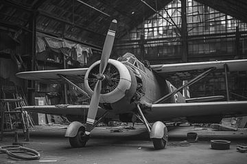 Vintage propellervliegtuig in een oude, vervallen hangar, zwart-wit foto van Animaflora PicsStock