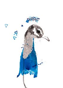 Vogelillustration des Pfaus spezielle