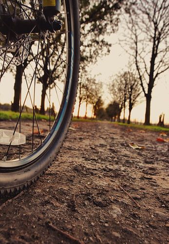 Mountainbike offroad