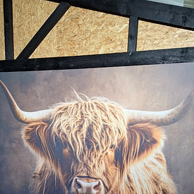 Photo de nos clients: Beauté rustique - Highlander écossais en contemplation par Eva Lee