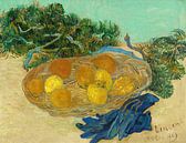 Stilleven met sinaasappels en citroenen met blauwe handschoenen, Vincent van Gogh van Meesterlijcke Meesters thumbnail