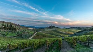 Das Herz des Chianti