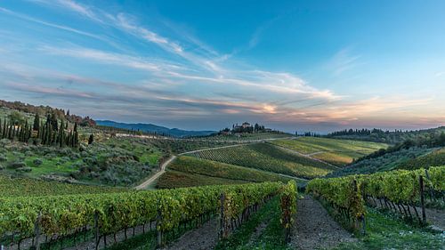 Das Herz des Chianti