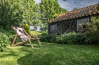 Garden in summer