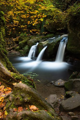 Waterval in het bos