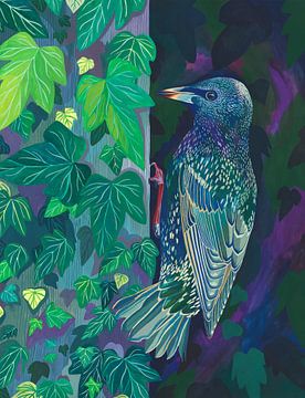 Starling by Jet Parent