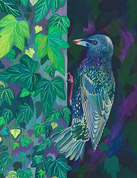 Starling by Jet Parent