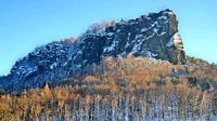 Saxon Switzerland - the lily stone in winter