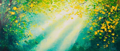 Lichtspel in het groene bos